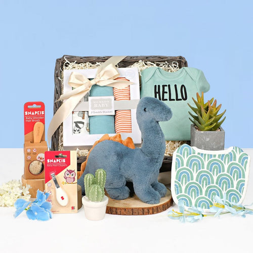 Fun Baby Boy Gift Set