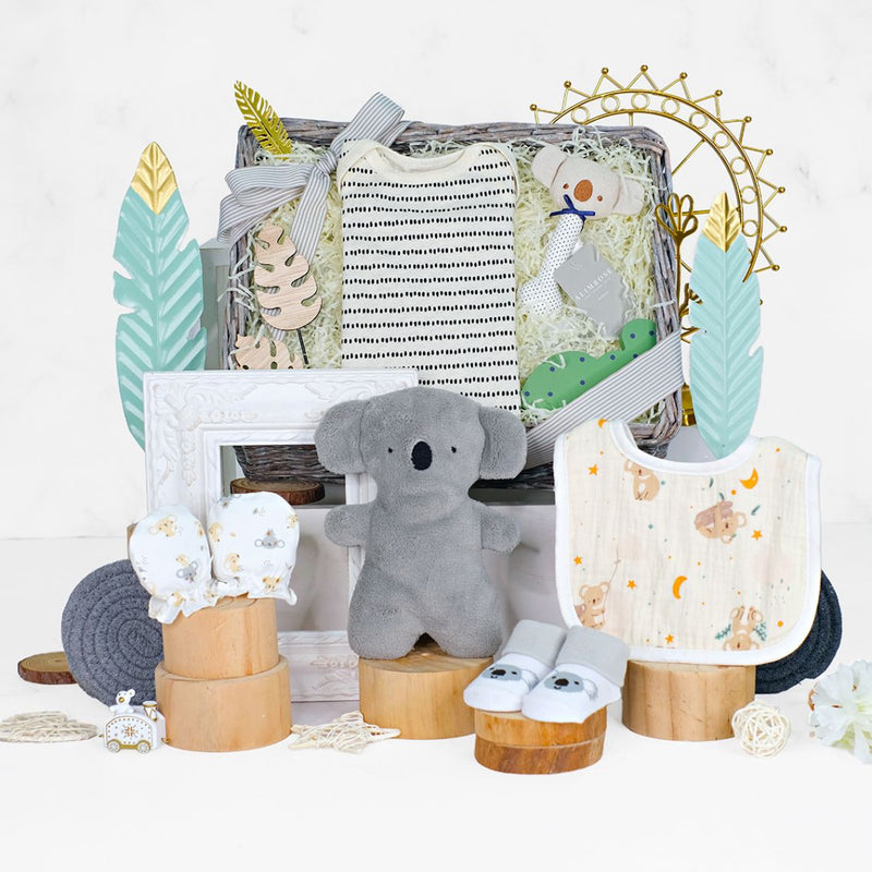 Koala Cuddles Baby Boy Hamper